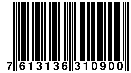 7 613136 310900