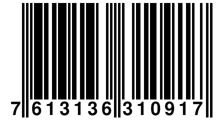 7 613136 310917