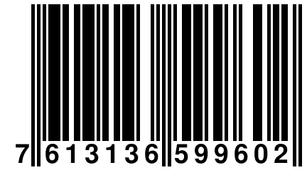 7 613136 599602