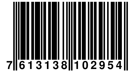 7 613138 102954