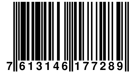 7 613146 177289