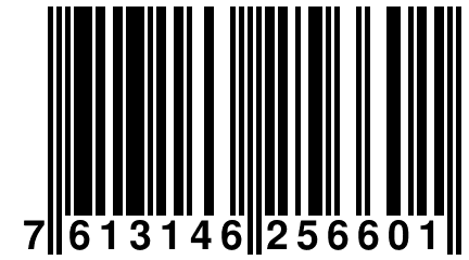 7 613146 256601