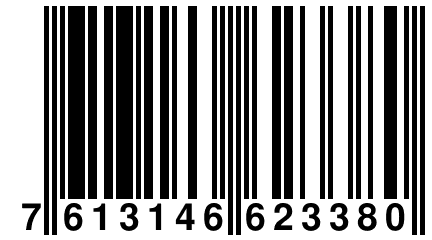7 613146 623380