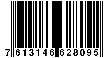 7 613146 628095