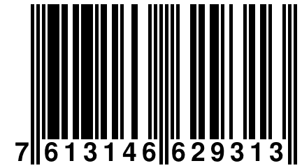 7 613146 629313