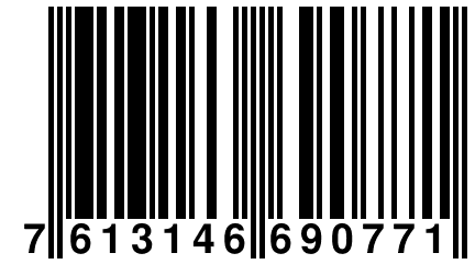 7 613146 690771
