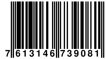 7 613146 739081