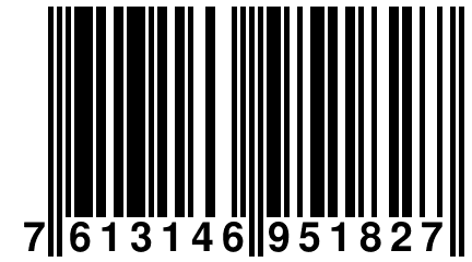 7 613146 951827