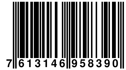 7 613146 958390