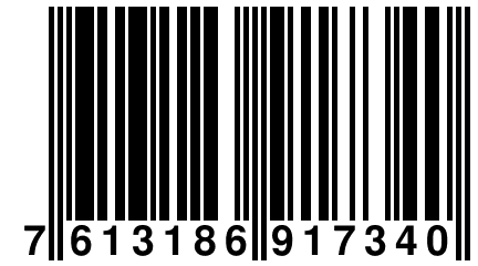 7 613186 917340