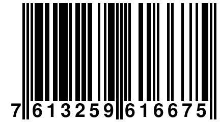 7 613259 616675