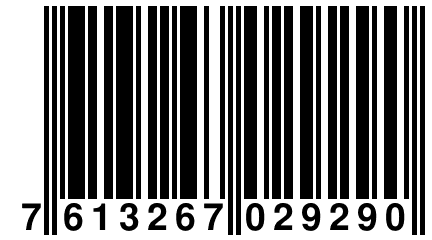 7 613267 029290