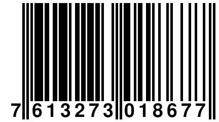7 613273 018677