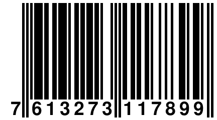 7 613273 117899