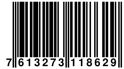 7 613273 118629