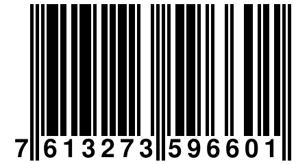 7 613273 596601