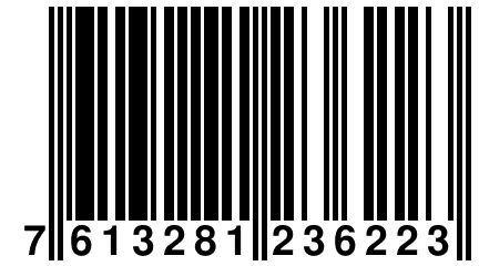 7 613281 236223