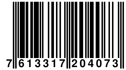 7 613317 204073