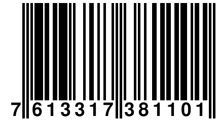 7 613317 381101