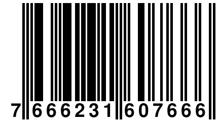 7 666231 607666