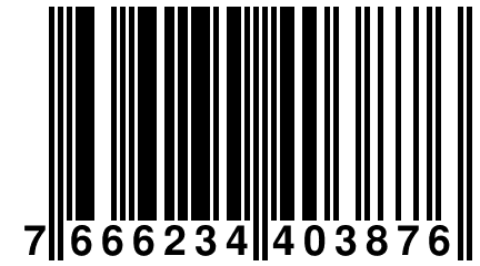 7 666234 403876