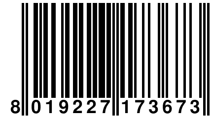 8 019227 173673
