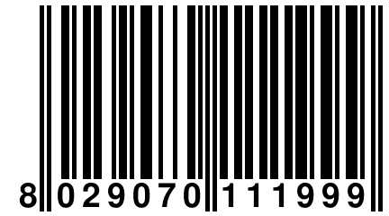 8 029070 111999
