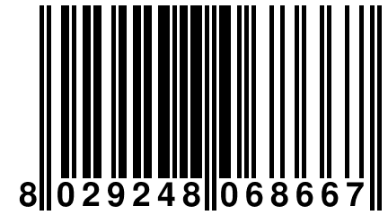8 029248 068667