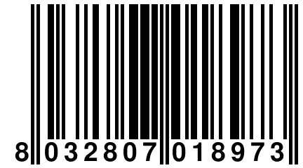 8 032807 018973