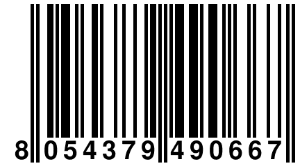 8 054379 490667