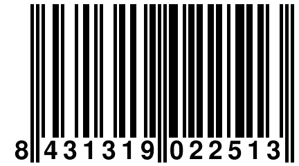 8 431319 022513