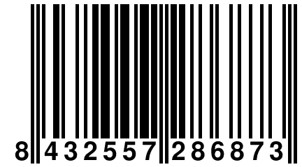 8 432557 286873