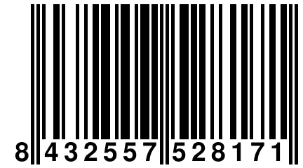 8 432557 528171