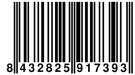 8 432825 917393