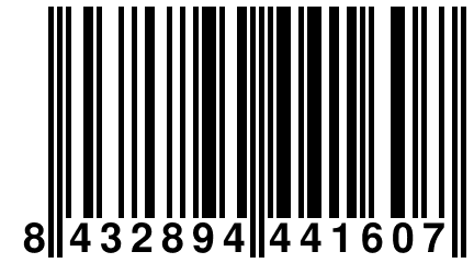 8 432894 441607