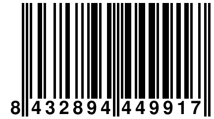 8 432894 449917