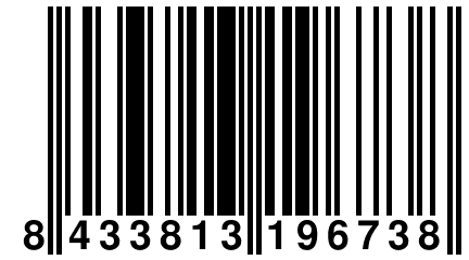 8 433813 196738