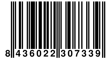 8 436022 307339