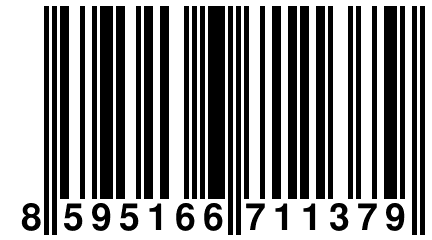 8 595166 711379