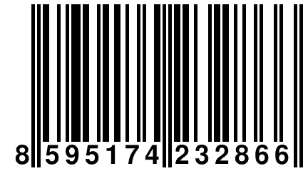 8 595174 232866