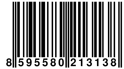 8 595580 213138