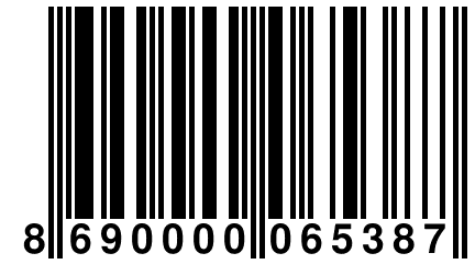 8 690000 065387