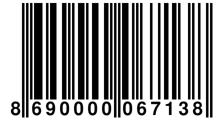 8 690000 067138