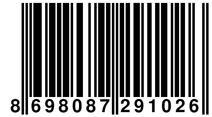 8 698087 291026