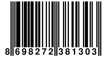 8 698272 381303