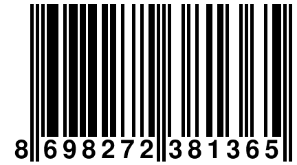 8 698272 381365