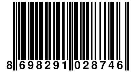 8 698291 028746