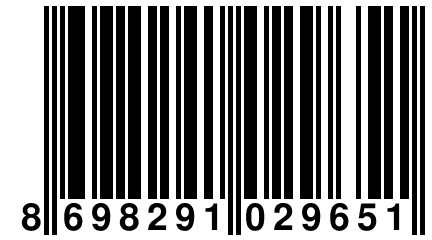 8 698291 029651