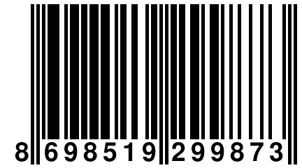 8 698519 299873