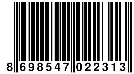 8 698547 022313